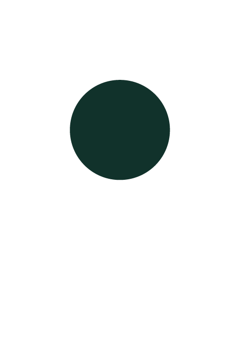 Golf pin icon