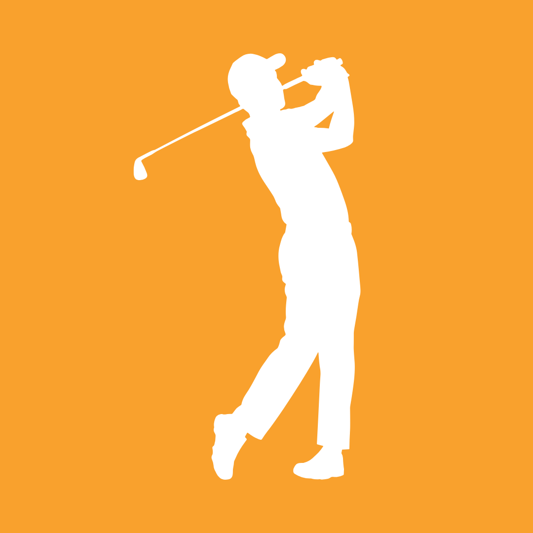 PRO-AMS Image